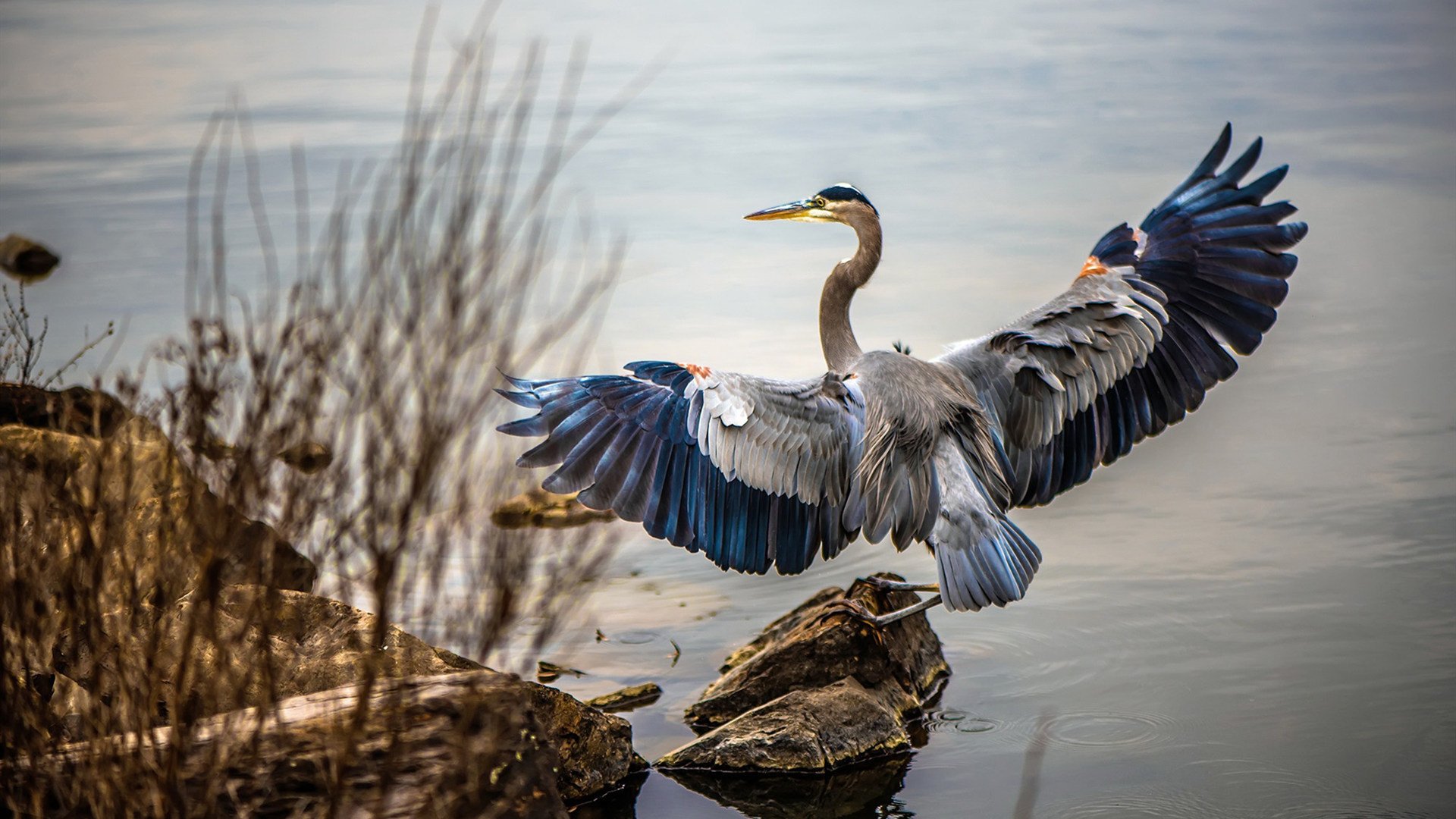 中国足球缺乏欧洲联赛球员代表呈现发展断层,中国男足欧洲