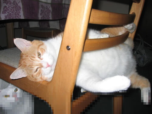 开云APP-意甲球队实力比拼：战术、速度、高效攻守！，意甲实力如何